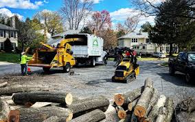 Best Leaf Removal  in Redway, CA